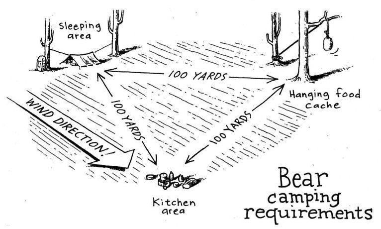 Setting up camp in bear country